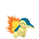 Cyndaquil Image