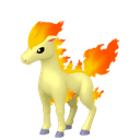 Ponyta Image