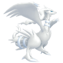 Reshiram Image