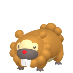 Bidoof Image