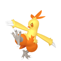 Combusken Image