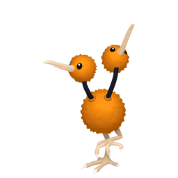 Doduo Image