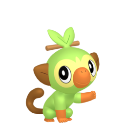 Grookey Image