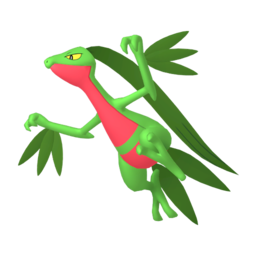 Grovyle Image