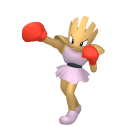 Hitmonchan Image