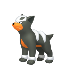 Houndour Image