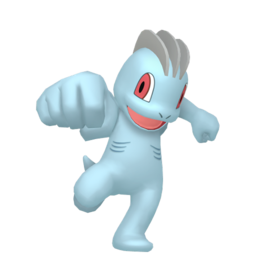 Machop Image