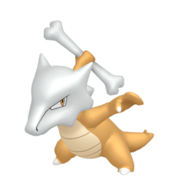 Marowak Image