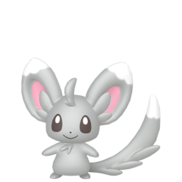 Minccino Image