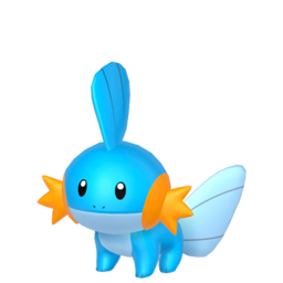 Mudkip Image