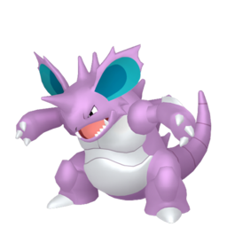 Nidoking Image