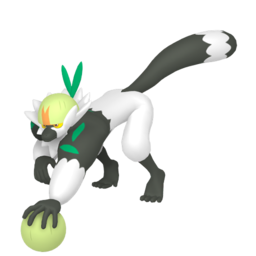 Passimian Image