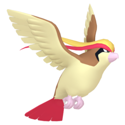 Pidgeot Image