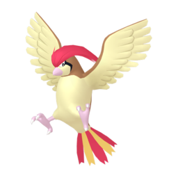 Pidgeotto Image