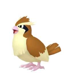 Pidgey Image