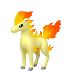 Ponyta Image