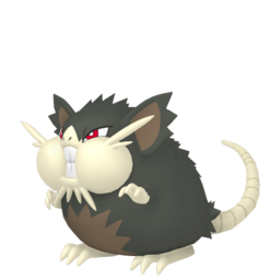 Raticate Alola Image