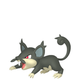 Rattata Alola Image