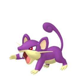 Rattata Image