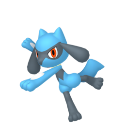 Riolu Image