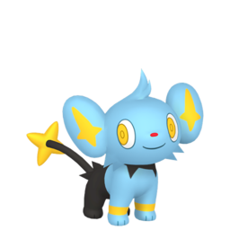 Shinx Image