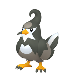 Staravia Image