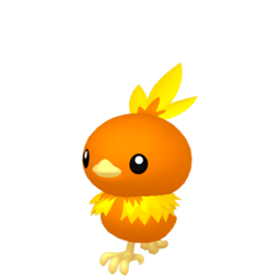 Torchic Image