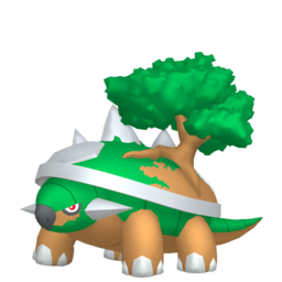 Torterra Image