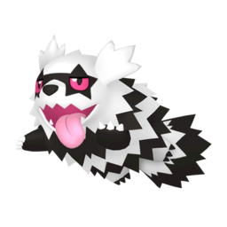 Zigzagoon Galarian Image